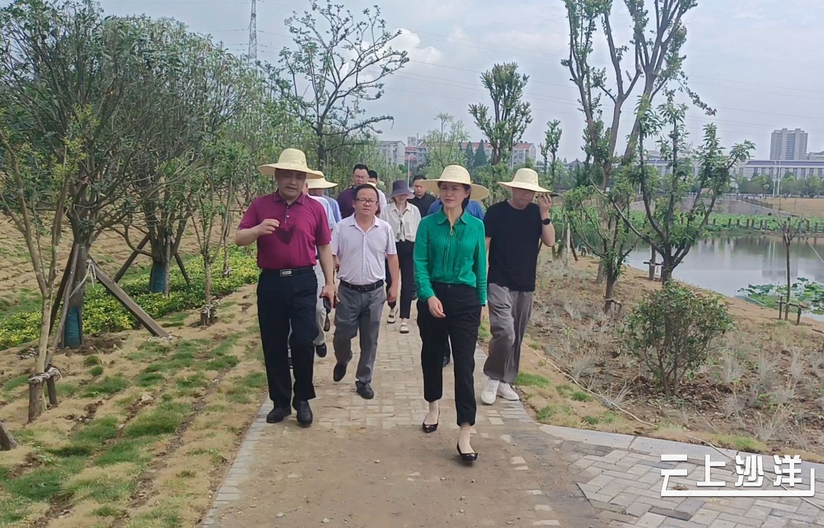 李莉丽带队开展市政园林项目现场督办活动