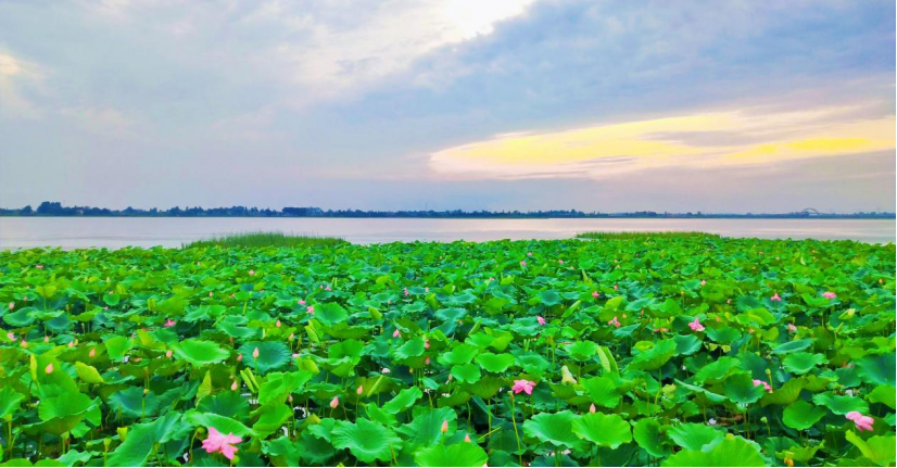 【沙洋这十年】毛李镇:砥砺前行十年路 铿锵奋进谱新篇_云上沙洋