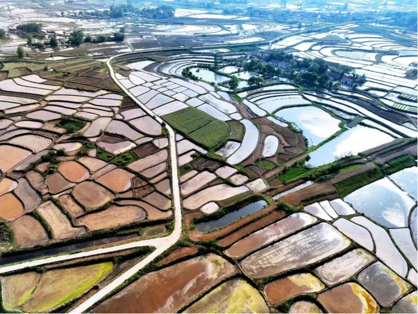 【沙洋这十年】毛李镇:砥砺前行十年路 铿锵奋进谱新篇_云上沙洋