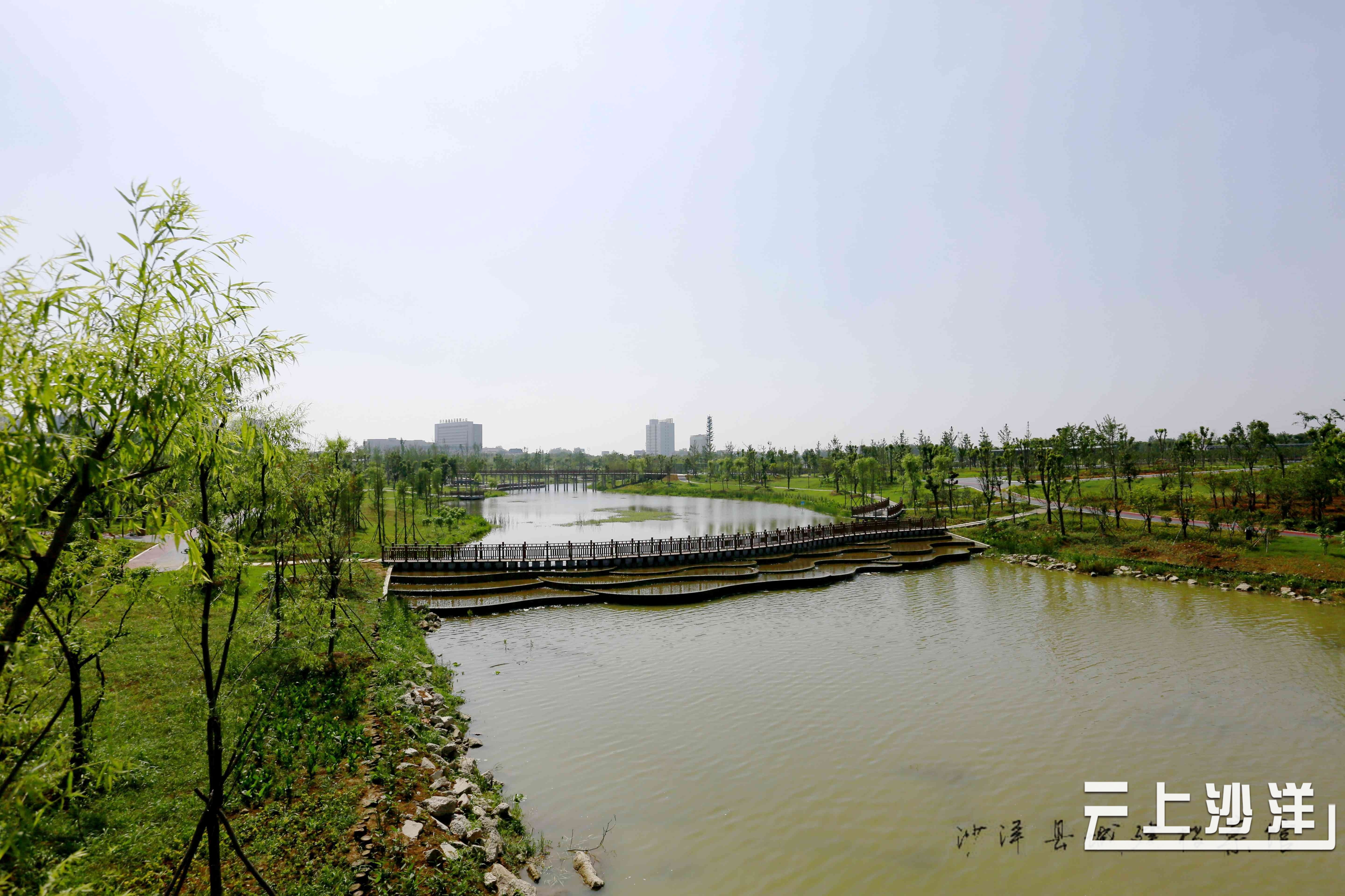 【沙洋这十年】沙洋县住建局:创新转型 建设魅力水城_云上沙洋