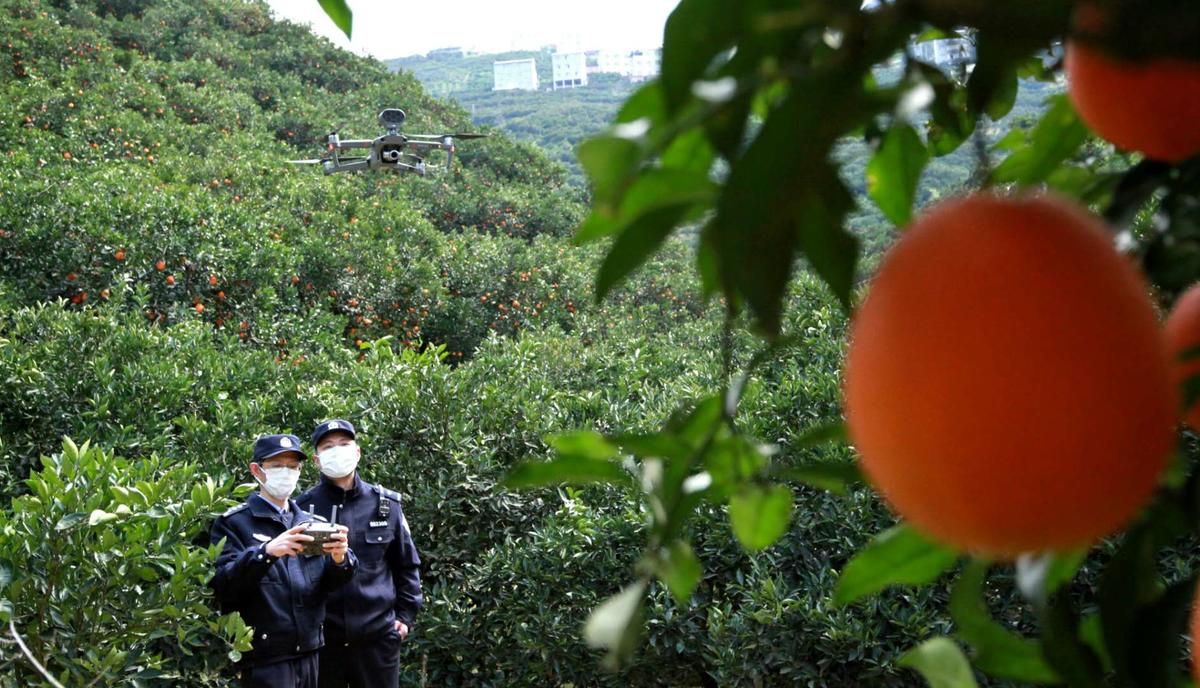 圖一:2020年2月29日,在秭歸縣郭家壩鎮王家嶺村,民警放飛無人機巡邏