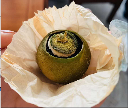 养生新品小青柑都喝过了那小青橙有没有喝过