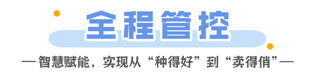 稿定设计-2.png