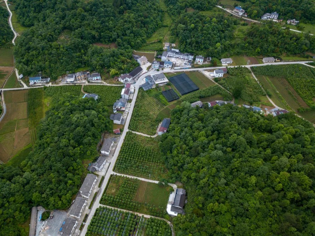 五峰渔洋关红星闪耀湘鄂边