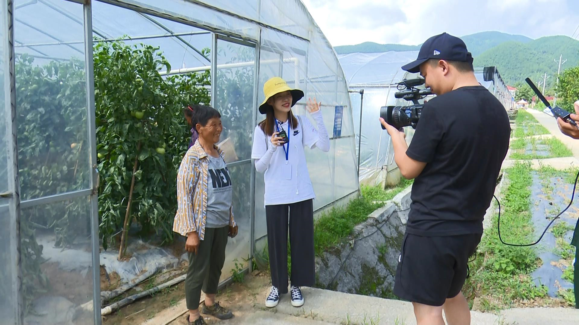 壮丽七十年奋斗新时代南漳县大型融媒镇区直播活动走进板桥镇