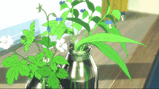 多看绿色真能护眼吗?真相是