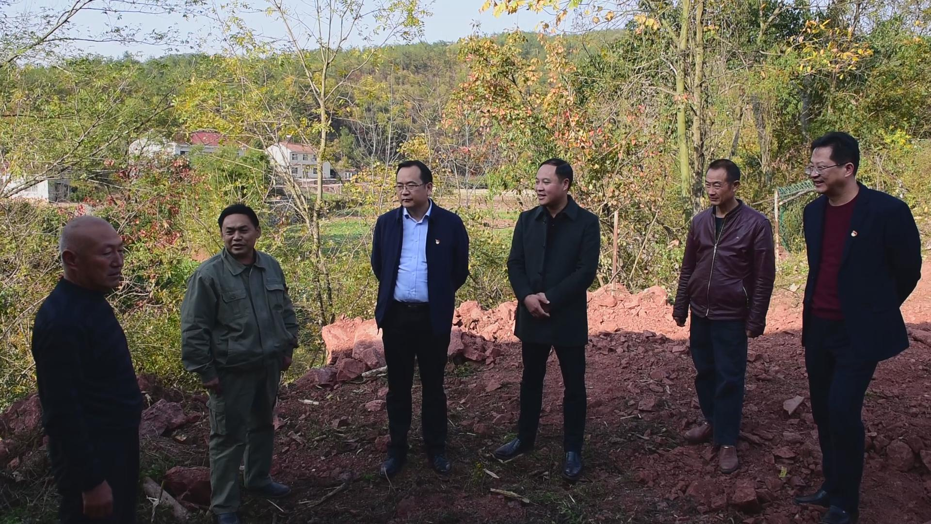 雷斌深入东巩镇调研指导主题教育 _云上南漳