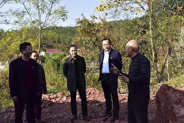 县领导深入东巩镇调研指导主题教育工作_云上南漳
