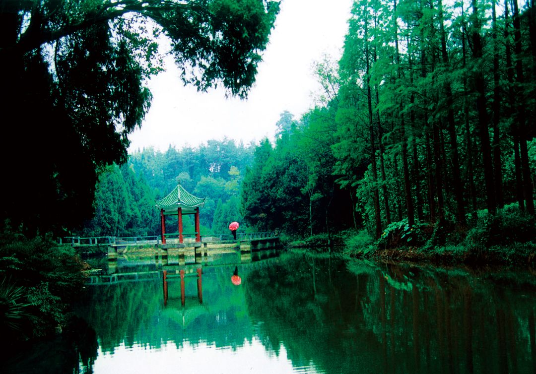 南漳旅游景点丨七里山森林公园