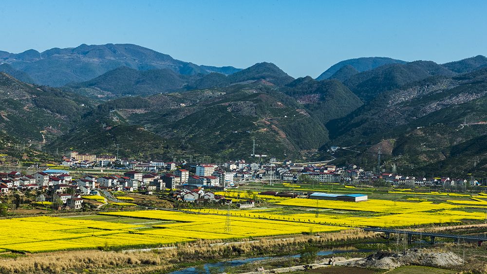 阳春三月,油菜花陆续盛开,漫步在南漳县巡检镇峡口村,像是走进了一幅