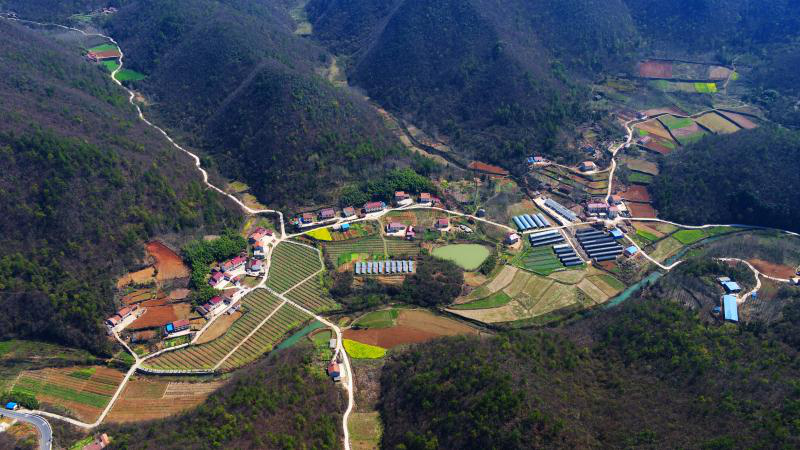 【来自脱贫攻坚一线的报告】湖北南漳观音堂村:产业扶贫撑起强村富民