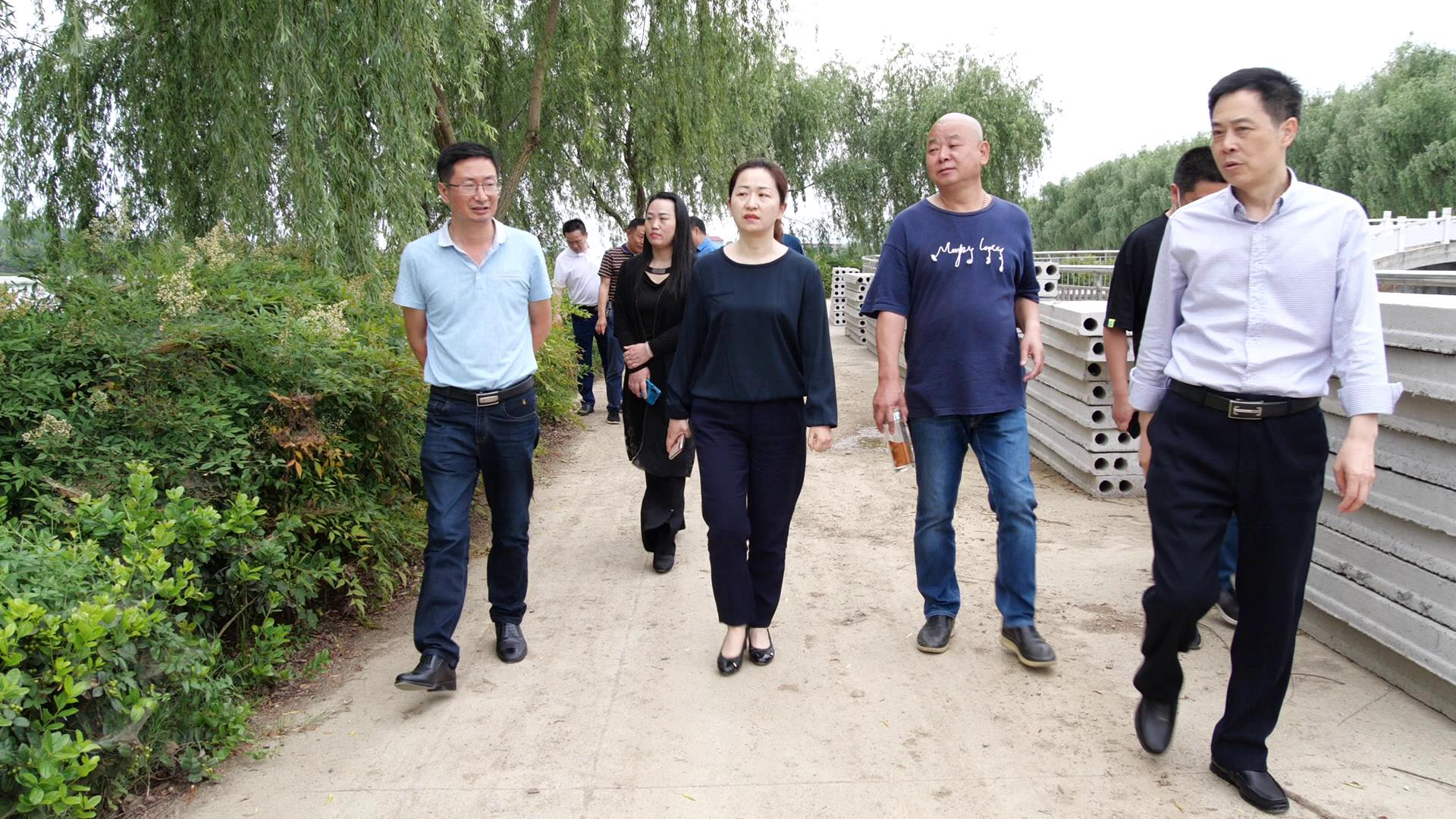 李晓佳在实地查看了四贤庄,白鹤湖广场及"四好"农村路等活动预备场地