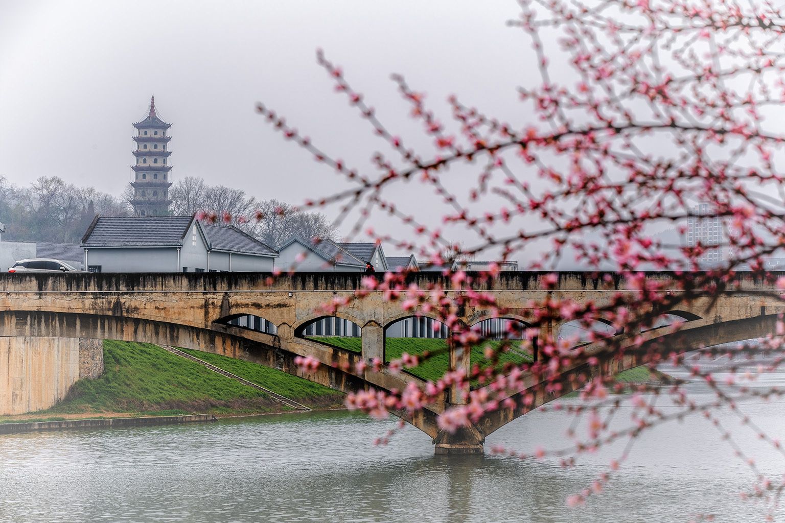 阳春三月,湖北省南漳县城南湿地公园林木葱茂,繁花盛开,处处风光,步步
