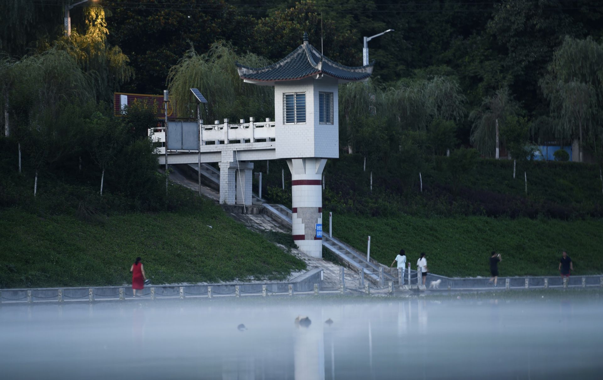 楚楚动人湖北南漳湿地公园里的夏日时光