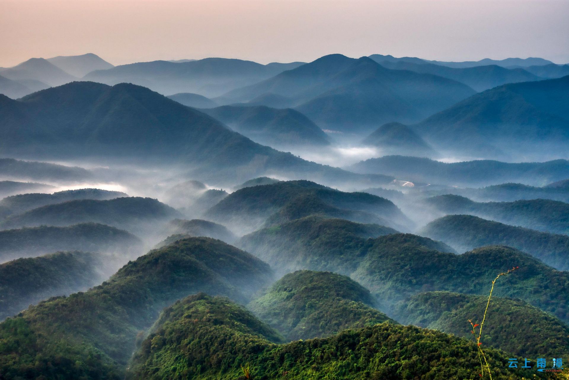 群山苍茫翠绿,云雾洁白无瑕,宛若一幅水墨丹青画.来源:云上南漳
