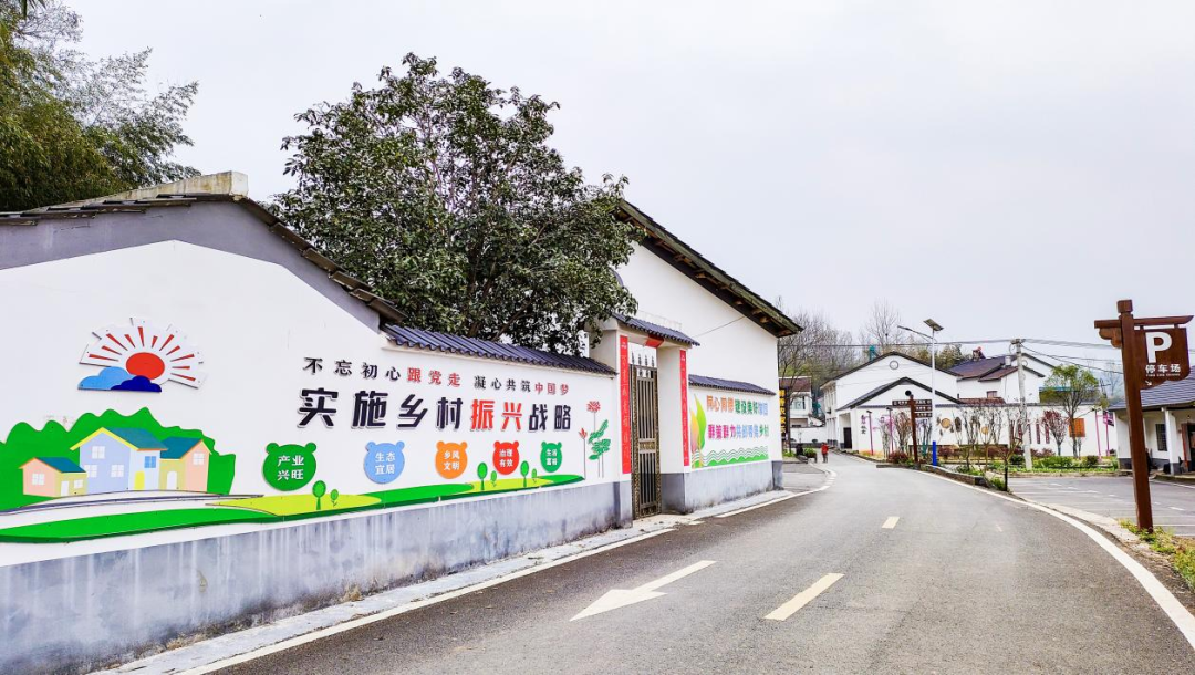 经过几场春雨的浸润,南漳县武安镇向家湾村俨然一幅优美的水墨画.