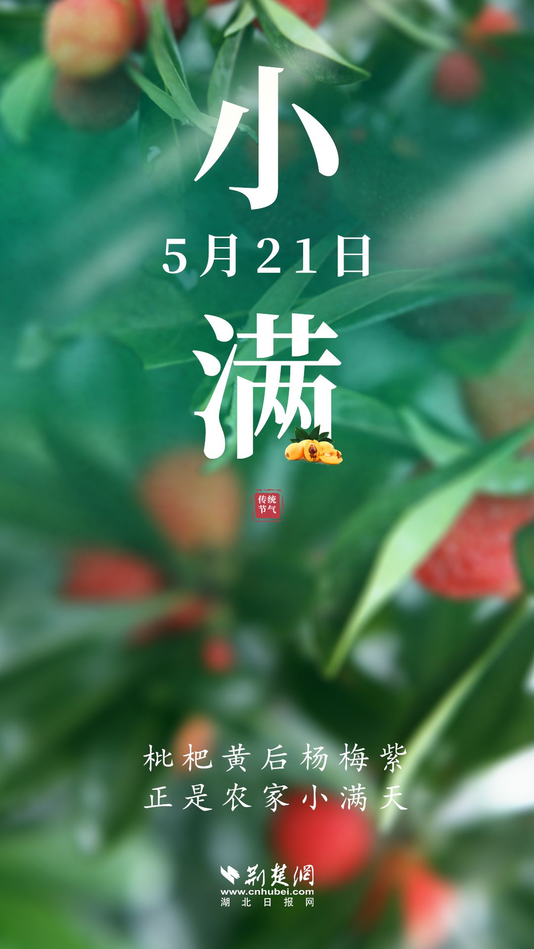 养生的句子经典语录_养生：_养生壶哪个牌子好质量好又安全