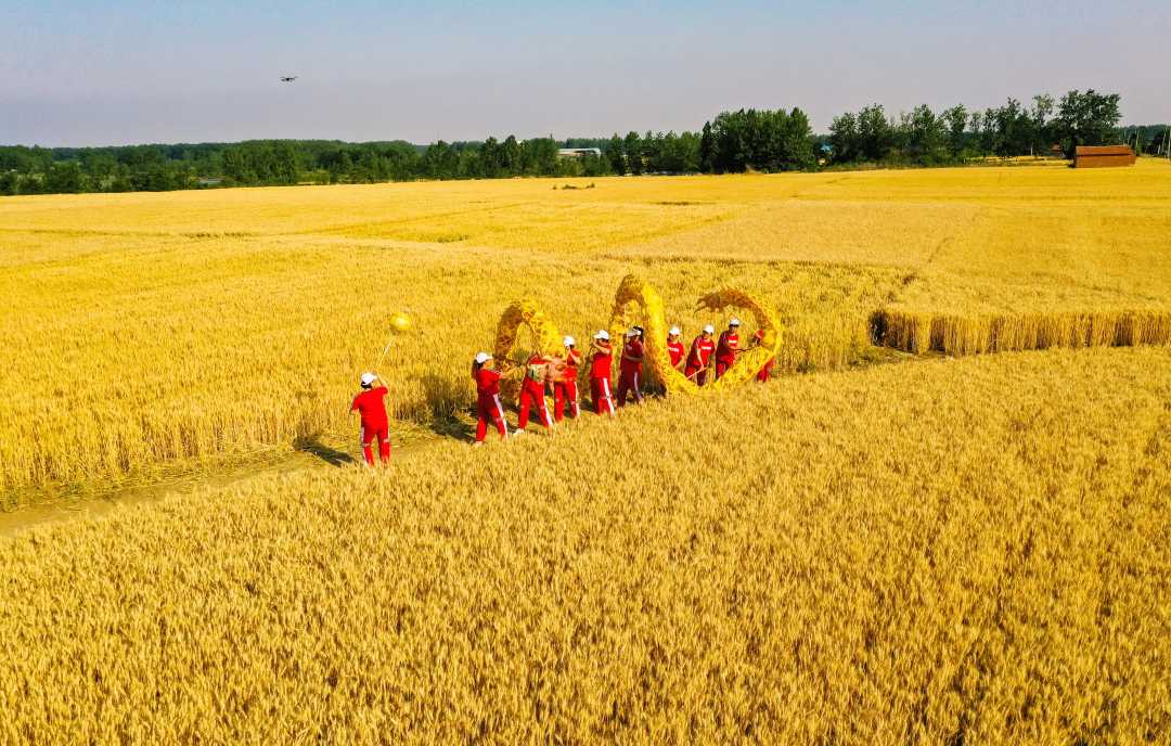 【热点关注】(大美中国)江苏宿迁:喜庆丰收年_云上南漳