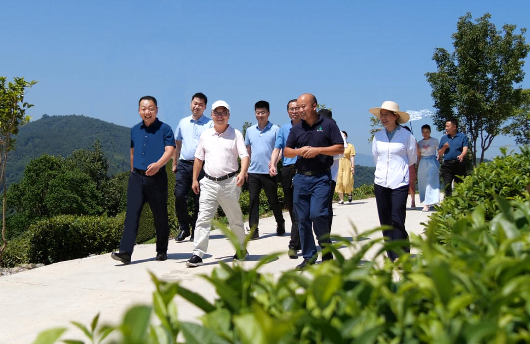 夏佐全杨志莲夫妇到长坪镇走访调研