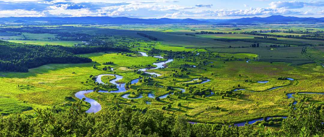 【热点关注】黑龙江鹤岗市:做好湿地文章 打造生态和谐宜居城