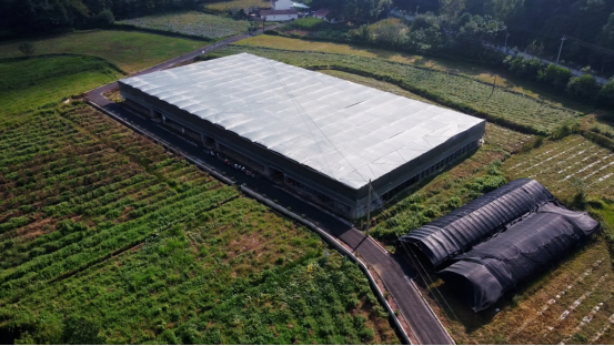 南漳东巩镇:小香菇撑起"致富伞"_长江云 - 湖北网络广播电视台官方网