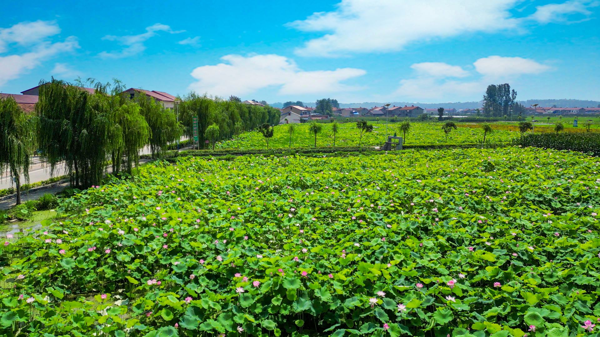 南漳花庄旅游景点图片