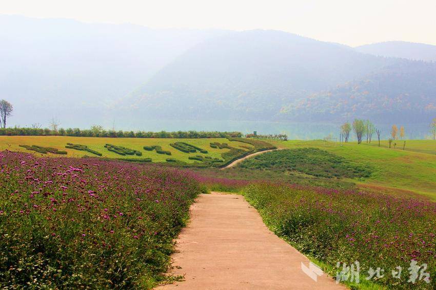 【热点关注】郧阳:汉江绿谷秋色如画_云上南漳