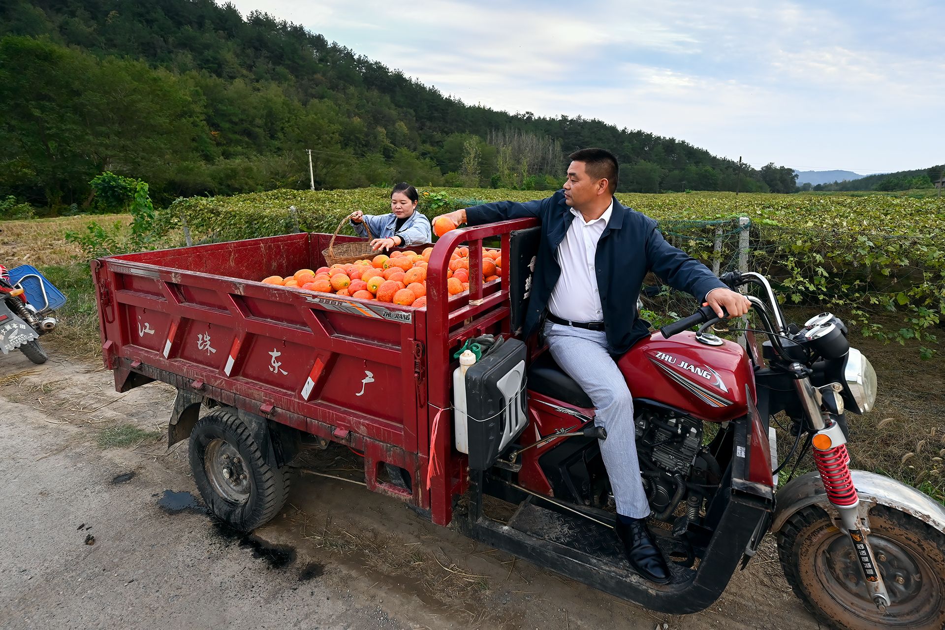 湖北南漳店子河畔吊瓜香