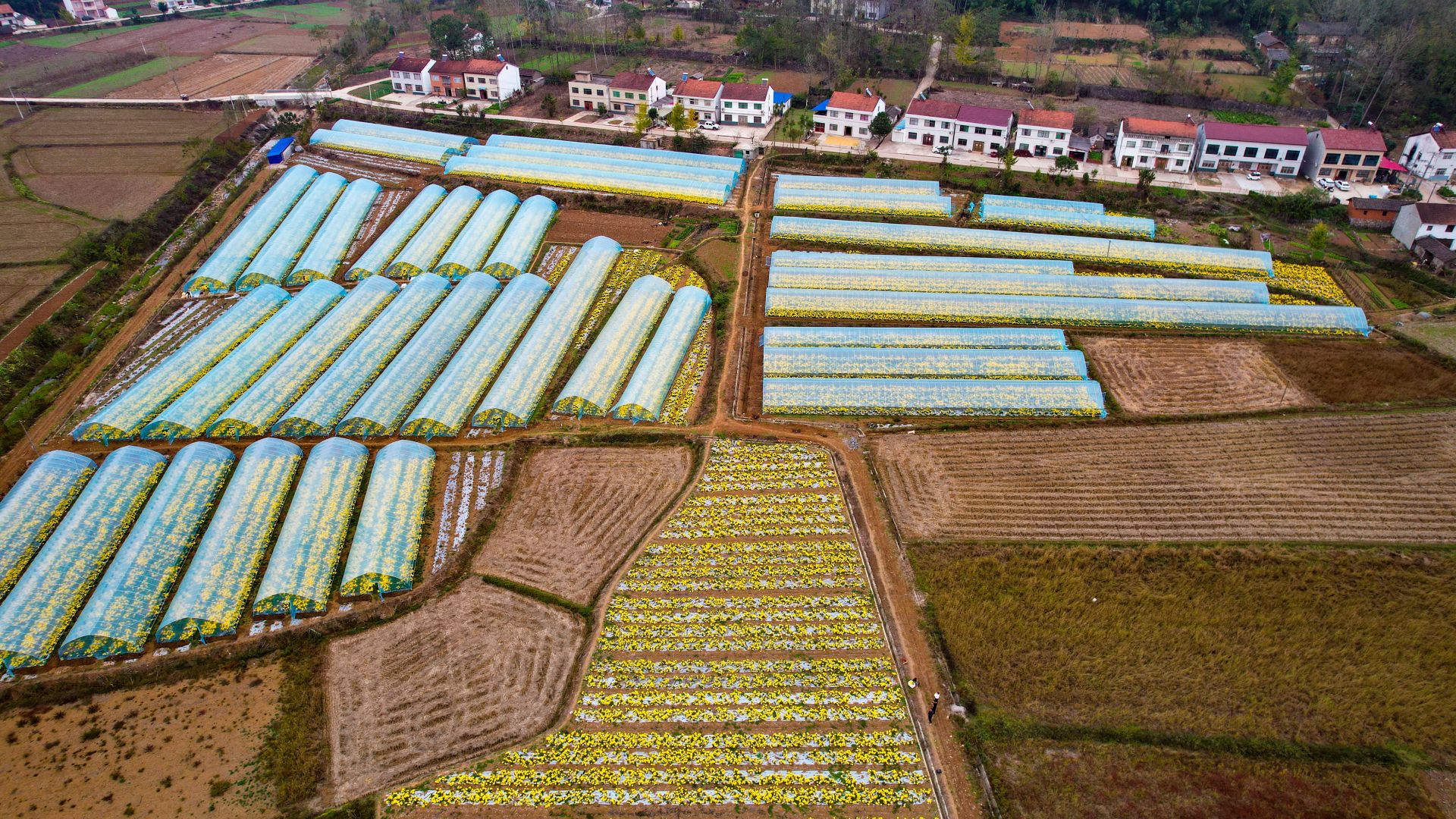 去年2月10日,农历正月初十,卢必富得知总额300万元