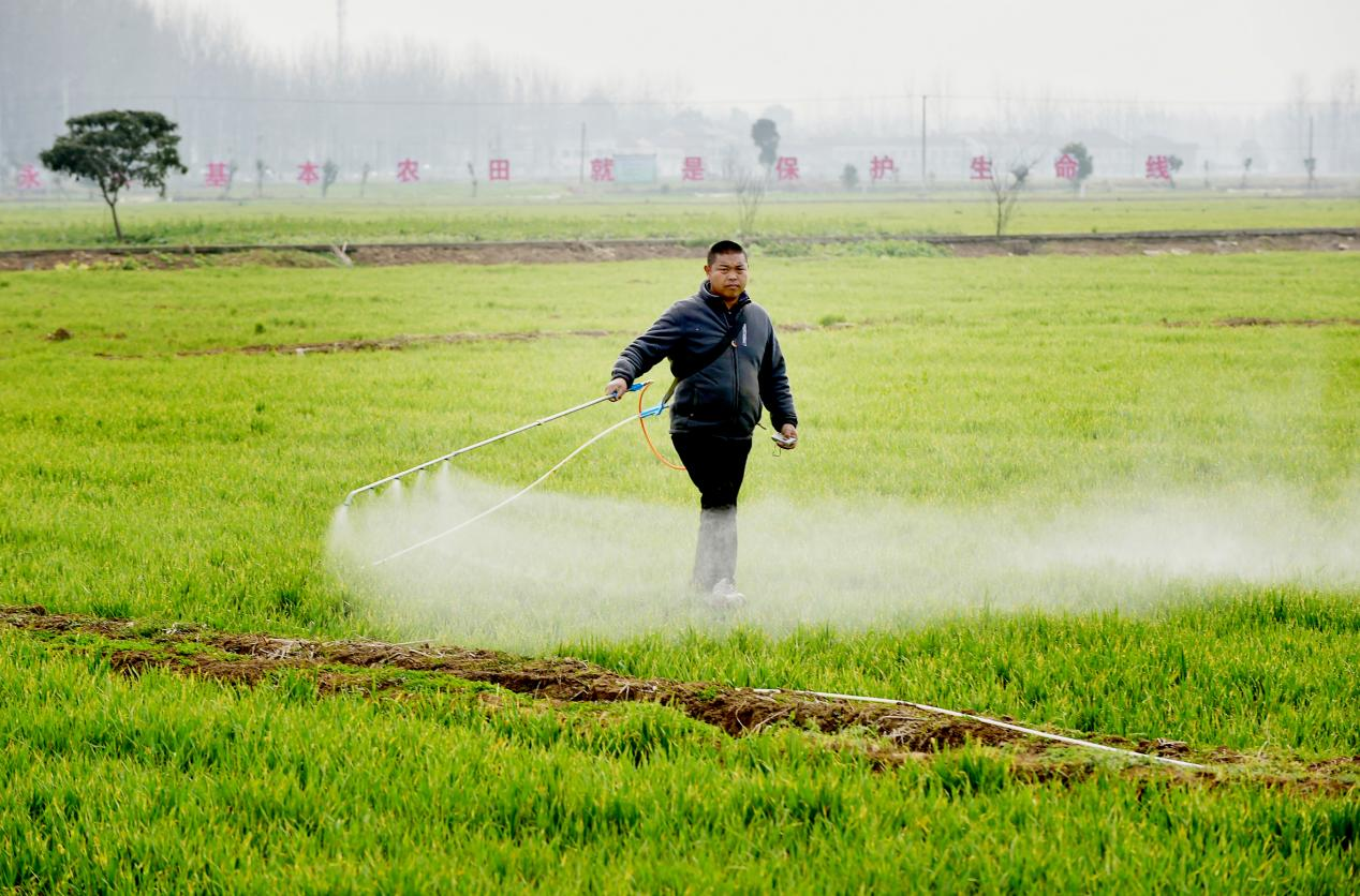 湖北南漳科技助力保丰产绿色植保促增收