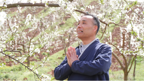 湖北南漳绽放在春天里的花经济