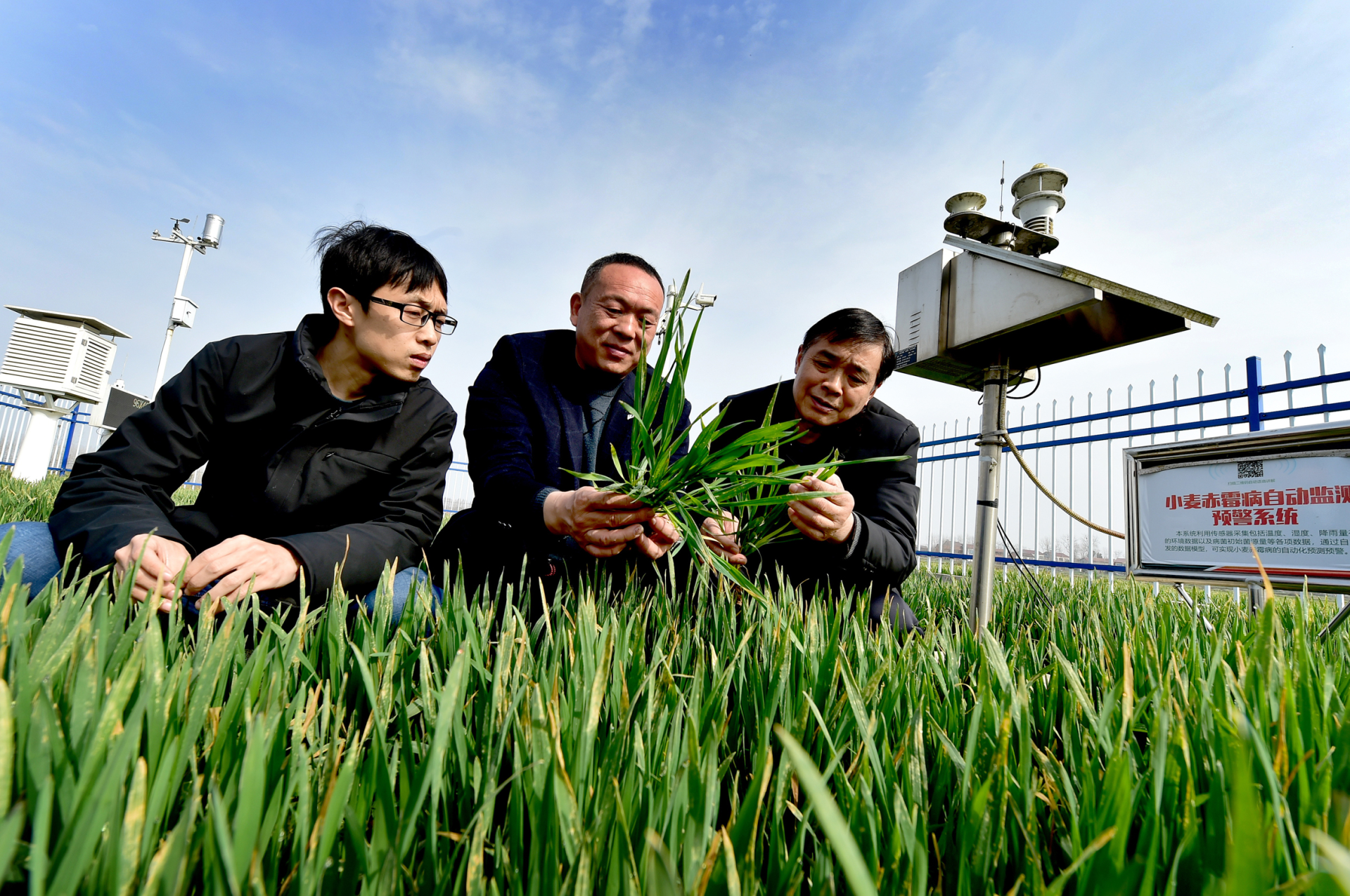 湖北南漳 科技助力保丰产 绿色植保促增收