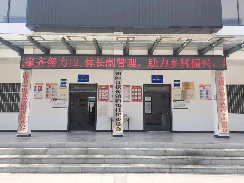 67板桥镇扎实开展林长制宣传周活动