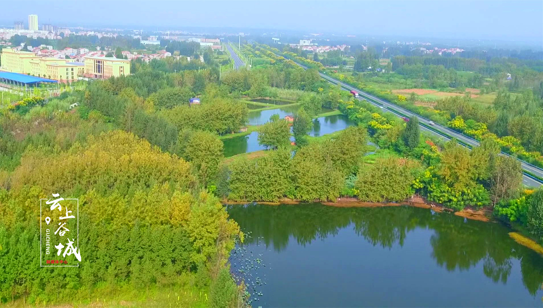 谷城大美湿地生态修复筑巢引得万鸟来
