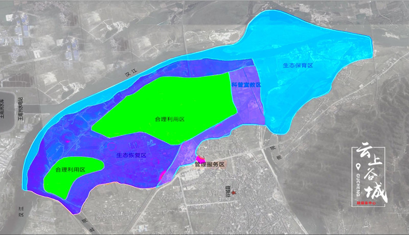 谷城大美湿地生态修复筑巢引得万鸟来