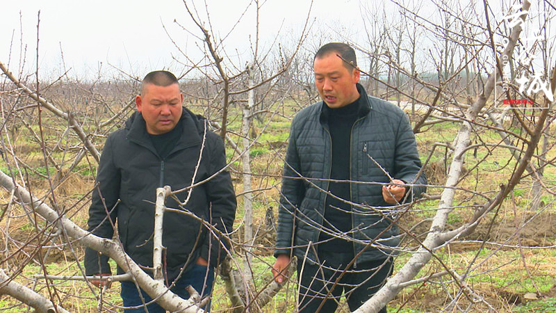 冷集镇上集村支部书记吴永兵说"结合村里的乡村振兴总体规划部署