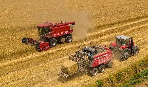 襄阳:给鄂西北粮仓插上科技的翅膀