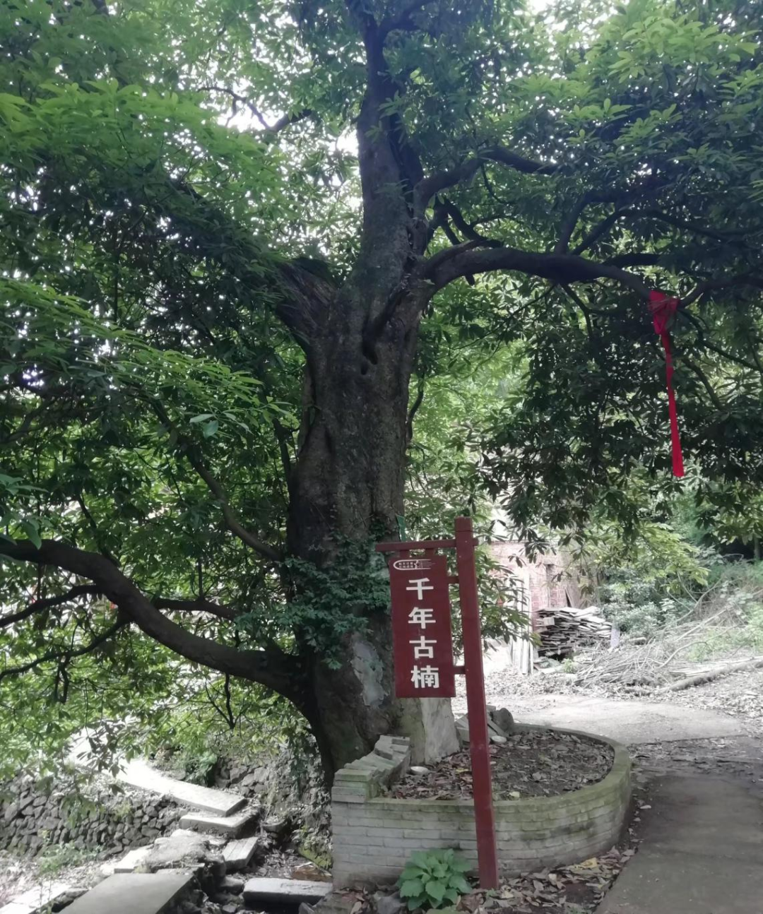 谷城新闻网