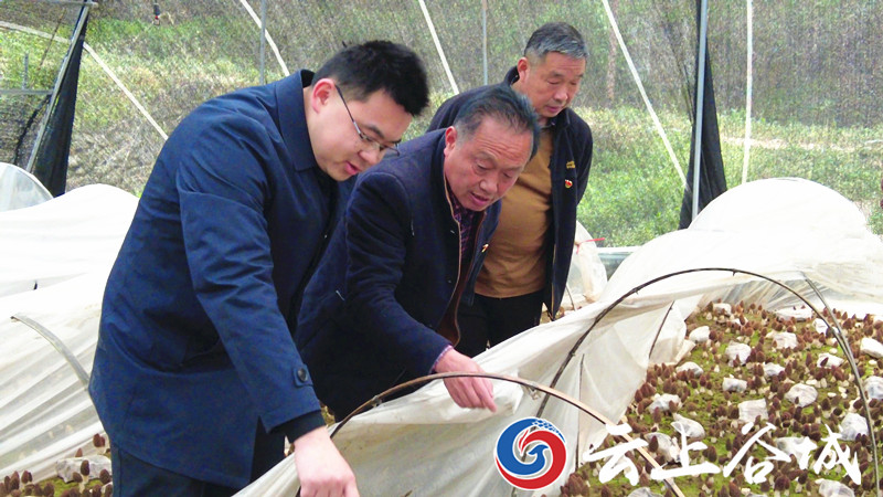 石花镇镇委书记图片