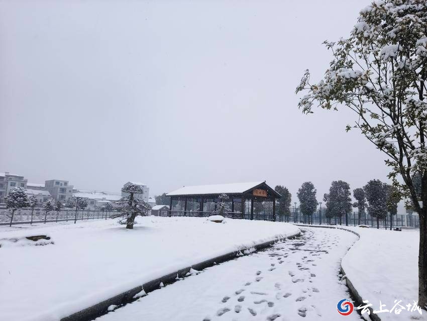 襄阳谷城美丽乡村雪景如画