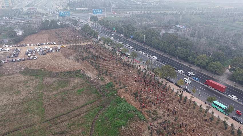 “老班长”携手“准新兵”！谷城这场植树活动让“双拥”薪火相传 