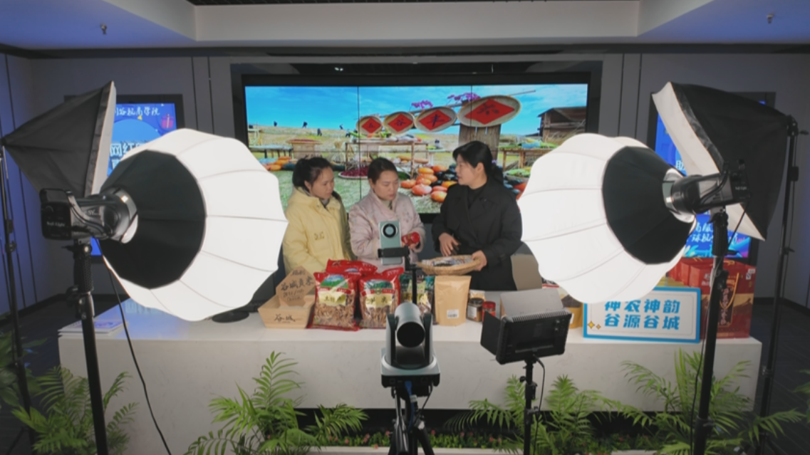 【冲刺百强县 巾帼在行动】侯艳芳：返乡十二载 在泥土与云端之间架桥 