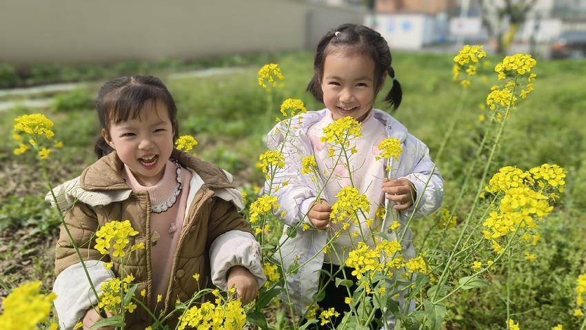 闻花香 捏彩泥……冷集镇沈湾幼儿园的这场春日之约太“治愈” 