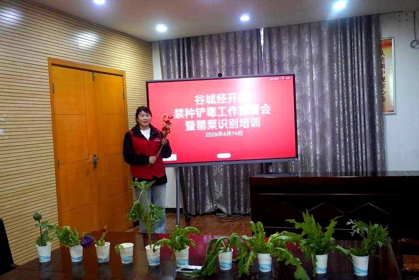 练就“火眼金睛”！谷城经济开发区开展罂粟识别培训 