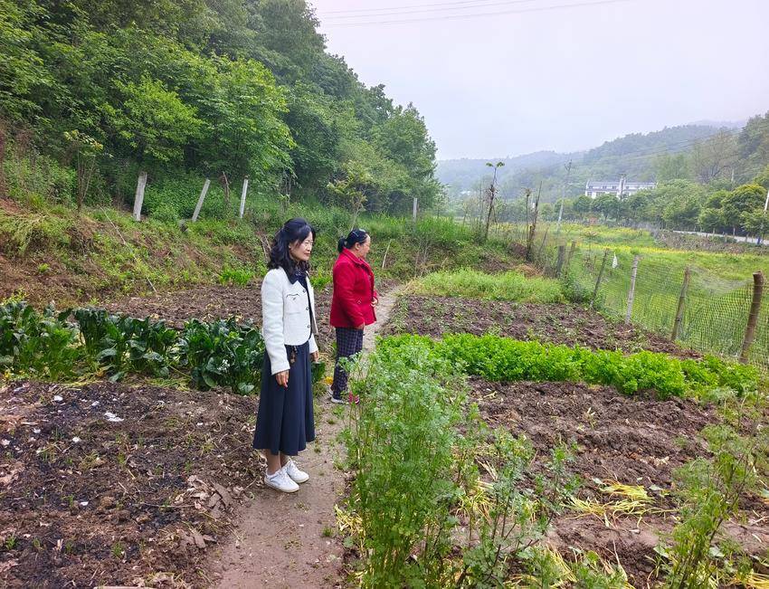 谷城城关镇老君山村开展“禁种铲毒”巡查 确保零种植零产量 