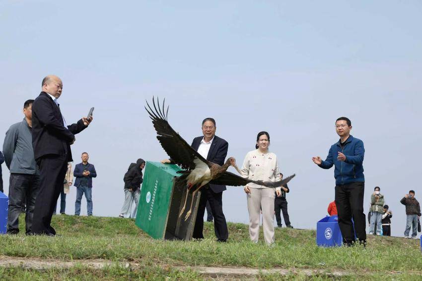 守护汉江 万物共生：谷城以生态安全筑牢国家安全屏障 