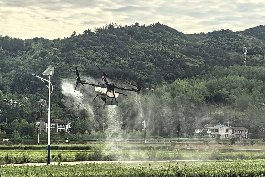 无人机凌空作业 庙滩镇万余亩小麦吃上“防病增产营养餐” 