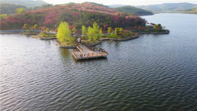 谷城：一库碧水映“三韵” 百花岛上起新篇