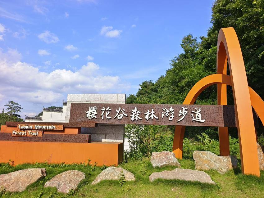 山野藏诗意 花海赴新约！谷城老君山村用一场超长花事从六月美到秋天 