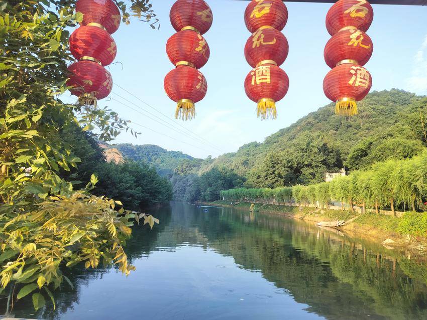 谷城人物｜王丽：“一片叶子一湾泉”带动乡邻共奔富